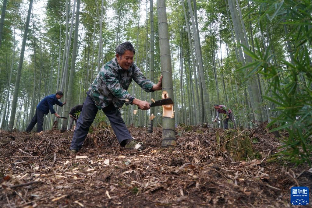 90后苗族女青年 竹酒“种”出致富路(图3)