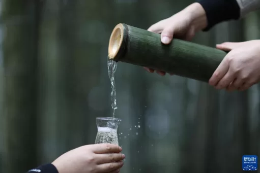 90后苗族女青年 竹酒“种”出致富路(图7) 90后苗族女青年 竹酒“种”出致富路(图7)