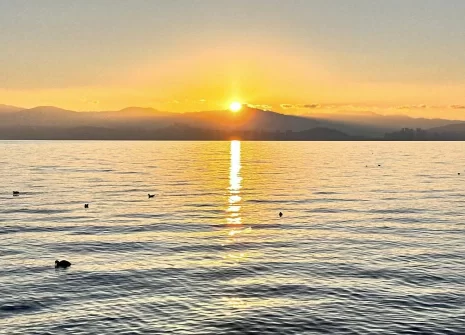 “反向旅游”成新潮流 假日文旅消费“热”态尽显(图1) “反向旅游”成新潮流 假日文旅消费“热”态尽显(图1)