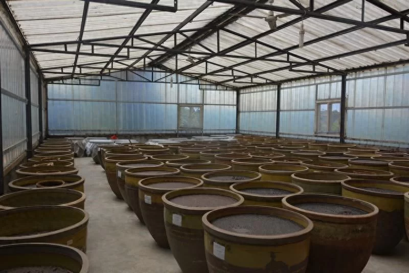 “无盐发酵酱油”专利技术:将大豆蛋白高效酶解为多种氨基酸,绿色产业前景广阔(图1) “无盐发酵酱油”专利技术:将大豆蛋白高效酶解为多种氨基酸,绿色产业前景广阔(图1)