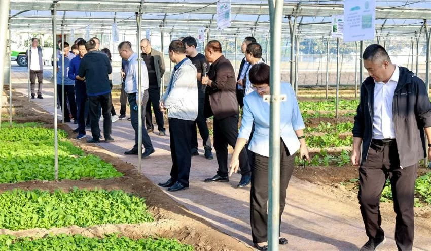 全国农产品产销对接助力乡村振兴(京津冀)活动在河北青县举办(图11) 全国农产品产销对接助力乡村振兴(京津冀)活动在河北青县举办(图11)