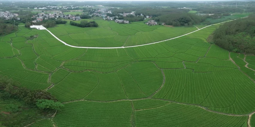 风从白州起 有诗有远方(图1) 风从白州起 有诗有远方(图1)