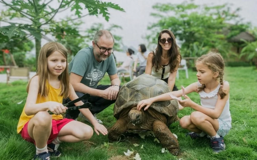 民宿集群点亮崇左乡村(图1) 民宿集群点亮崇左乡村(图1)